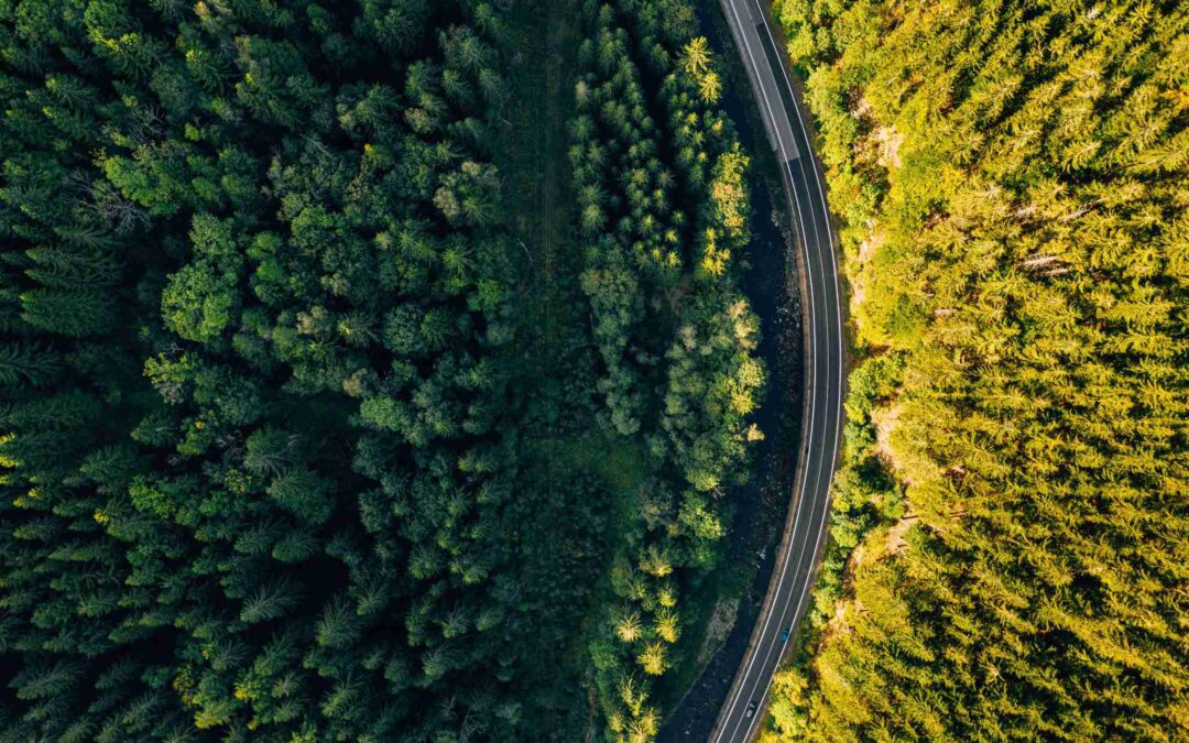 Unlock the Sky – Elevate Your Business with Drone Photography and Videography